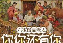 六零极品老太:你你还有你跪下!这本小说在哪里可以看?哪里有免费试读章节?-推书酱