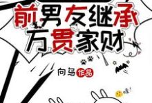前脚分,后脚前男友继承万贯家财小说最新更新在哪里?免费在线看-推书酱