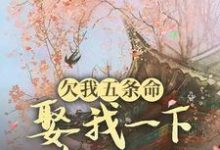 欠我五条命，娶我一下怎么了？玉沁宋祁，欠我五条命，娶我一下怎么了？在线无弹窗阅读-推书酱