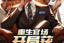 完整版的重生官场，开局获顶配资源小说在哪里可以免费读到？-推书酱