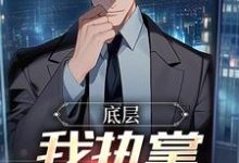 完整版的底层：我执掌晋升奥秘小说在哪里可以免费读到？-推书酱