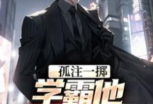 苏誉乔慧雅小说叫什么(孤注一掷:学霸他官运亨通完整版免费阅读)-推书酱