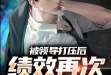 孙平安林若薇小说在线章节免费阅读（被领导打压后，绩效再次被清零！无弹窗无删减）-推书酱