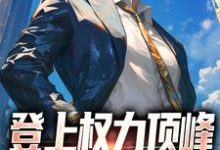 登上权力顶峰，从福利院开始小说完结版章节免费阅读-推书酱