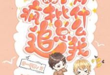 季也小说免费阅读完整版-推书酱