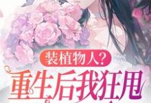 云冉小说免费阅读完整版-推书酱