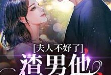 《夫人不好了！渣男他要求爱》小说大结局免费试读 黎岁霍砚舟小说-推书酱