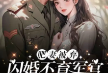 赵梦琪贾雅婷小说肥妻被弃，闪婚不育军官后躺赢了完整版阅读-推书酱