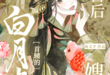 冲喜后，我成了白月光首辅的嫂嫂这本小说怎么样？免费在线阅读试试-推书酱