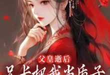 虞乐安拓跋翰霆小说叫什么（父皇逝后，兄长把我当质子送去敌国完整版免费阅读）-推书酱