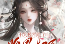 免费看小哭包不追了，腹黑权臣悔断肠小说的网站有哪些？-推书酱