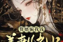 《赘婿骗我钱养妻儿老小，弄死！》小说大结局免费试读 虞晚晚小说-推书酱
