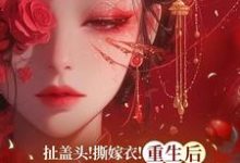 扯盖头！撕嫁衣！重生后她不忍了小说的所有章节都能在哪里免费读到？-推书酱