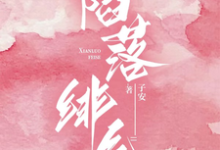 已完结小说《陷落绯色》章节免费阅读-推书酱