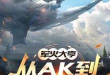 军火大亨：从ak到星际航母这本小说怎么样？免费在线阅读试试-推书酱