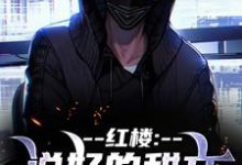 《红楼：说好的甜文咋变恐怖文了》小说齐洛章节章节免费在线阅读-推书酱