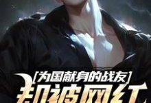 苏阳小说免费阅读完整版-推书酱