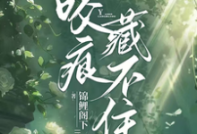 沈织星苏遇完整版小说免费阅读-推书酱