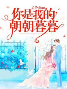 《你是我的朝朝暮暮》阮柠夏靳斯承完整版小说免费阅读
