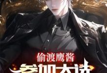 免费看偷渡鹰酱，参加大选不过分吧？小说的网站有哪些？-推书酱
