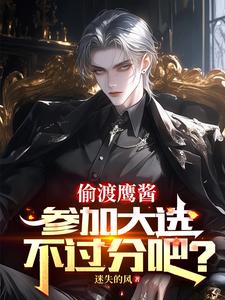 免费看偷渡鹰酱，参加大选不过分吧？小说的网站有哪些？