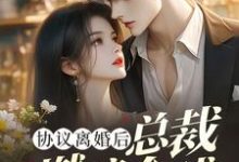 完结版《协议离婚后,总裁燃遍全球》章节阅读-推书酱