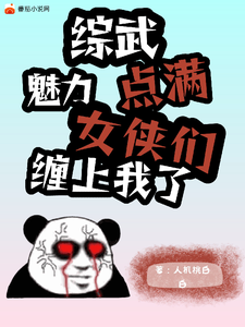 《综武：魅力点满，女侠们缠上我了》小说免费阅读完整版