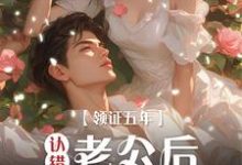 《领证五年认错老公后我负全责》完整版小说免费阅读-推书酱