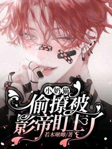小奶猫偷撩被影帝盯上了（陆柯）完整版在线免费阅读