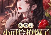 闪婚后,小可怜撩爆了首富大佬沈知薇,闪婚后,小可怜撩爆了首富大佬完整版最新章节-推书酱