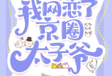 惊！我网恋了京圈太子爷小说的无弹窗阅读体验，寻找免费阅读网站-推书酱