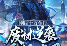 小说《刚结十万金丹，废材逆袭系统来了》完整版章节免费阅读-推书酱