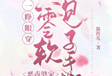 一睁眼穿六零软包子手撕恶毒婆家小说的免费电子版在哪里可以下载或阅读?-推书酱