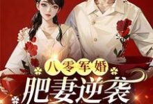 周琳琳严屹辰小说叫什么(八零军婚,肥妻逆袭又飒又软完整版免费阅读)-推书酱
