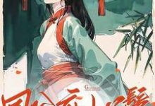 国公府小丫鬟苏梨月，国公府小丫鬟小说免费阅读-推书酱