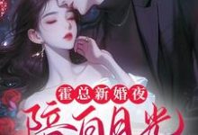 霍总新婚夜陪白月光,我不干了小说的所有章节都能在哪里免费读到?-推书酱