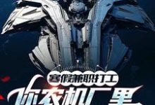 寒假兼职打工，你农机厂里开出空天航母？小说有没有完结版在线？-推书酱