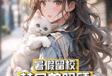 暑假留校，替兄弟照顾绝美女友最新章节，暑假留校，替兄弟照顾绝美女友免费阅读-推书酱
