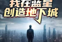 林易小说震惊！我在蓝星创造地下城完整版阅读-推书酱