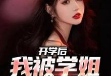 《开学后，我被学姐盯上了》完整版小说免费阅读-推书酱