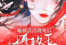 她被活活烧死后，摄政王悔不当初小说的免费阅读版本在哪里可以找到？-推书酱