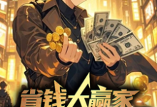 林照小说《省钱大赢家，我靠抠门综艺封神》在线阅读-推书酱