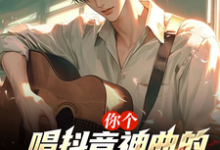 免费在线阅读你个唱抖音神曲的，进国家队了？小说的正规网站有哪些？-推书酱