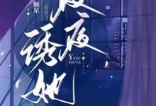 周初黎贺南序小说完整版《夜夜诱她》免费阅读-推书酱