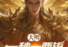 求推荐可以免费阅读大明：一秒一两银，国土大无垠！小说的网站-推书酱