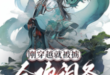 《刚穿越就被掳，合欢词条什么鬼？》完整版小说免费阅读-推书酱