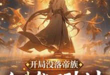 开局没落帝族，但我能回到过去陆羽小说在线章节目录阅读最新章节-推书酱