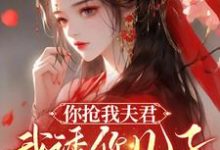 你抢我夫君,我诱你儿子,不能亏小说的免费电子版在哪里可以下载或阅读?-推书酱