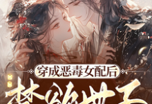 穿成恶毒女配后，禁欲世子被撩疯顾惜音裴琛小说在线章节目录阅读最新章节-推书酱
