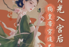 白月光入宫后，狗皇帝紧追不舍苏绮宁君御珩，白月光入宫后，狗皇帝紧追不舍小说免费阅读-推书酱